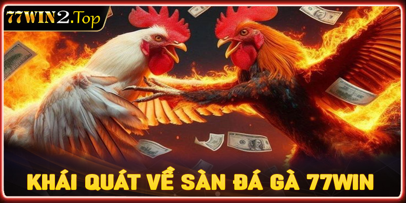 Khái quát vài nét về sản cá cược đá gà 77win